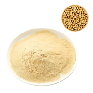 Cosmetic Grade Soy Bean Lecithin Powder Soya Lecithin 25%