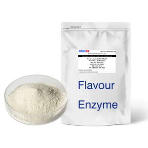Food Enzyme Flavour Enzyme