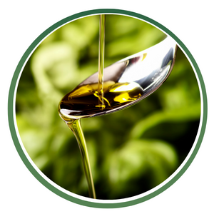 Food Oils icon