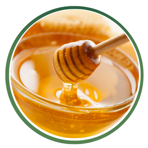 Nutritive & Non-Nutritive Sweeteners icon