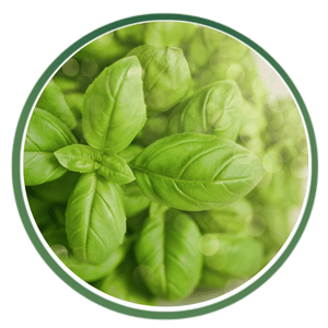 Organic Certified Ingredients icon