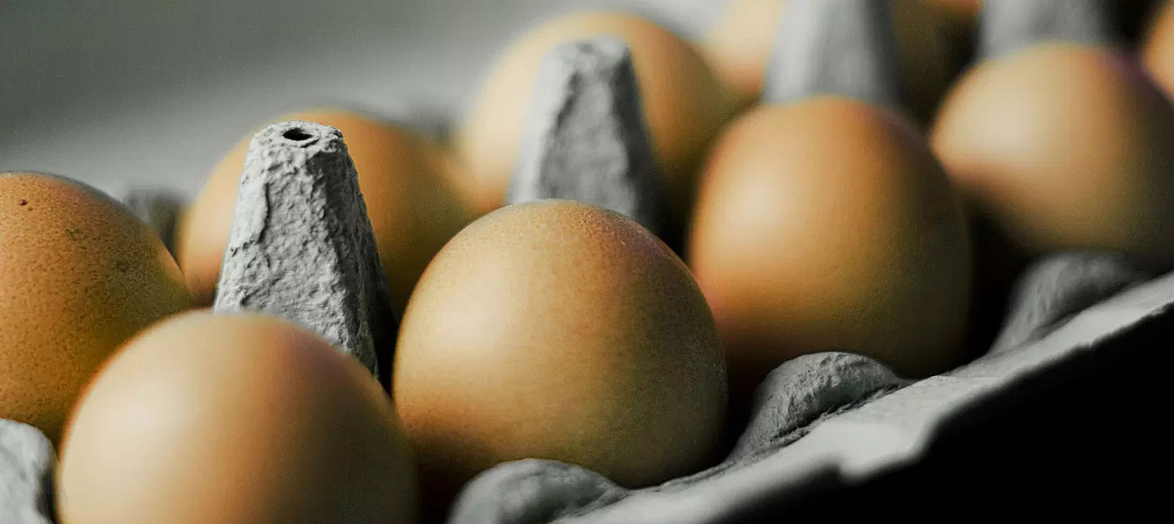Functional Performance of Liquid Egg Ingredients in Food Formulation