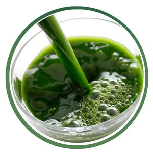 Vegetable Juice Concentrates icon