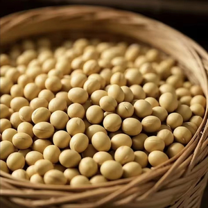 Bulk Organic Dried Non-GMO Soy Lecithin Protein Isolate