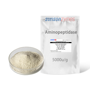 Food Grade Aminopeptidase Enzyme