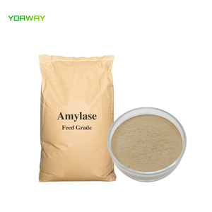 Alpha Amylase Bakery Enzyme