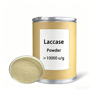 Food Grade Laccase Enzyme
