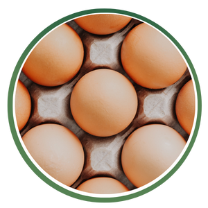 Egg Products icon